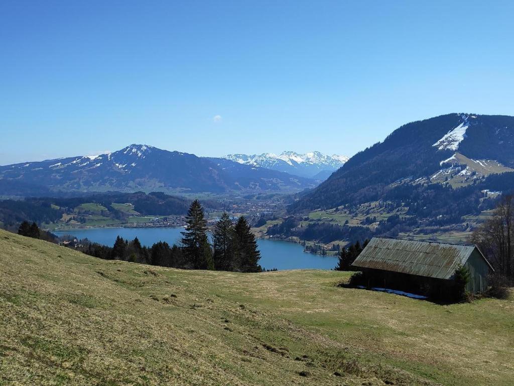 Ferienwohnung Allgaeuglueck Im Ferienpark Oberallgaeu Mit Hallenbad, Sauna, Wlan 미센 윌햄스 외부 사진