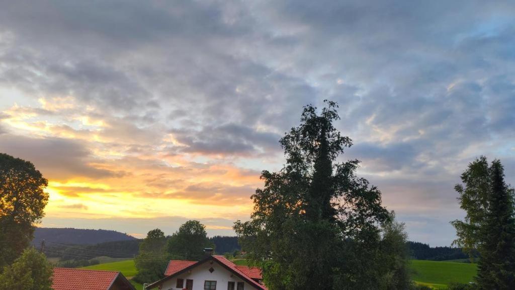 Ferienwohnung Allgaeuglueck Im Ferienpark Oberallgaeu Mit Hallenbad, Sauna, Wlan 미센 윌햄스 외부 사진