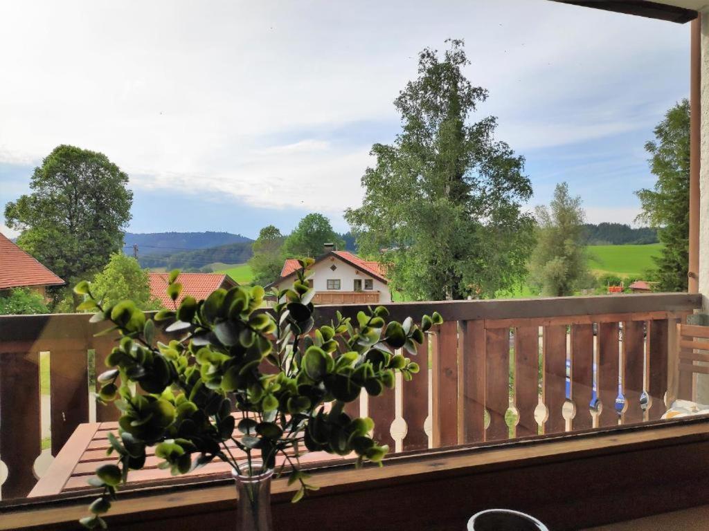 Ferienwohnung Allgaeuglueck Im Ferienpark Oberallgaeu Mit Hallenbad, Sauna, Wlan 미센 윌햄스 외부 사진