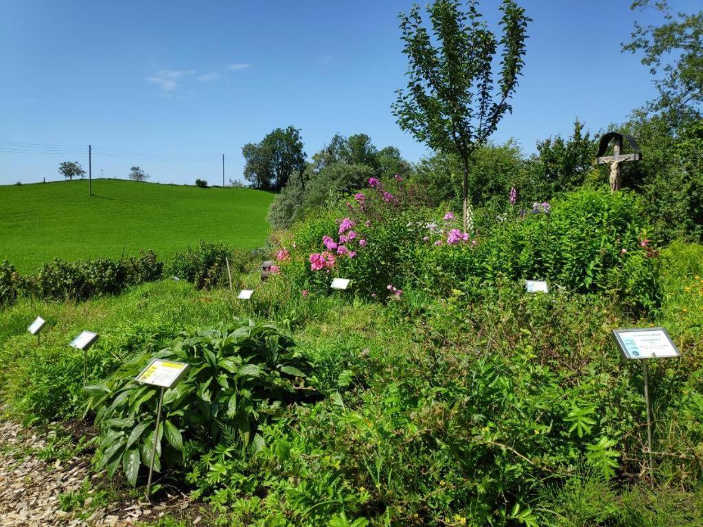 Ferienwohnung Allgaeuglueck Im Ferienpark Oberallgaeu Mit Hallenbad, Sauna, Wlan 미센 윌햄스 외부 사진